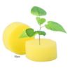 50pcs Soilless Hydroponic Sponge Planting Seedling Sponges for Greenhouse (Black)