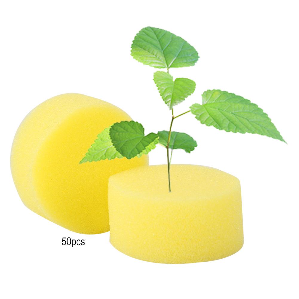 50pcs Soilless Hydroponic Sponge Planting Seedling Sponges for Greenhouse (Black)