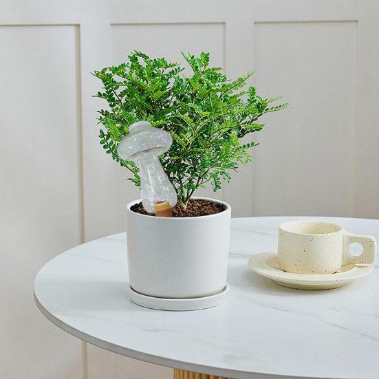 300ML Flower Waterer Self Watering Spikes Transparent Auto Plant Watering Devices Auto-Drippers Mushroom Glass