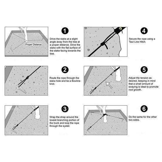1 комплект якорей для поддержки растений для коррекции деревьев, плоская обертка, высокопрочная веревка, пластиковый комплект для крепления деревьев для дворов
