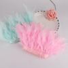 High-Quality Turkey Feather Edging, Colored Feathers, Fire Feather Edging For Weddings