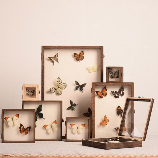 Витрина с высокой видимостью. Большой теневой ящик для насекомых. Деревянная конструкция. Несколько размеров. Витрина для хранения образцов насекомых с гладкими краями.