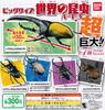 Big Size Insects of the World Part 3 Types Set Gacha Gacha Capsule Toy [7 (Full Complete)]
