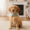 Adjustable Cat Dress Collar Soft Comfortable Pet Tie Skin Friendly Puppy Choker  Daily Wear