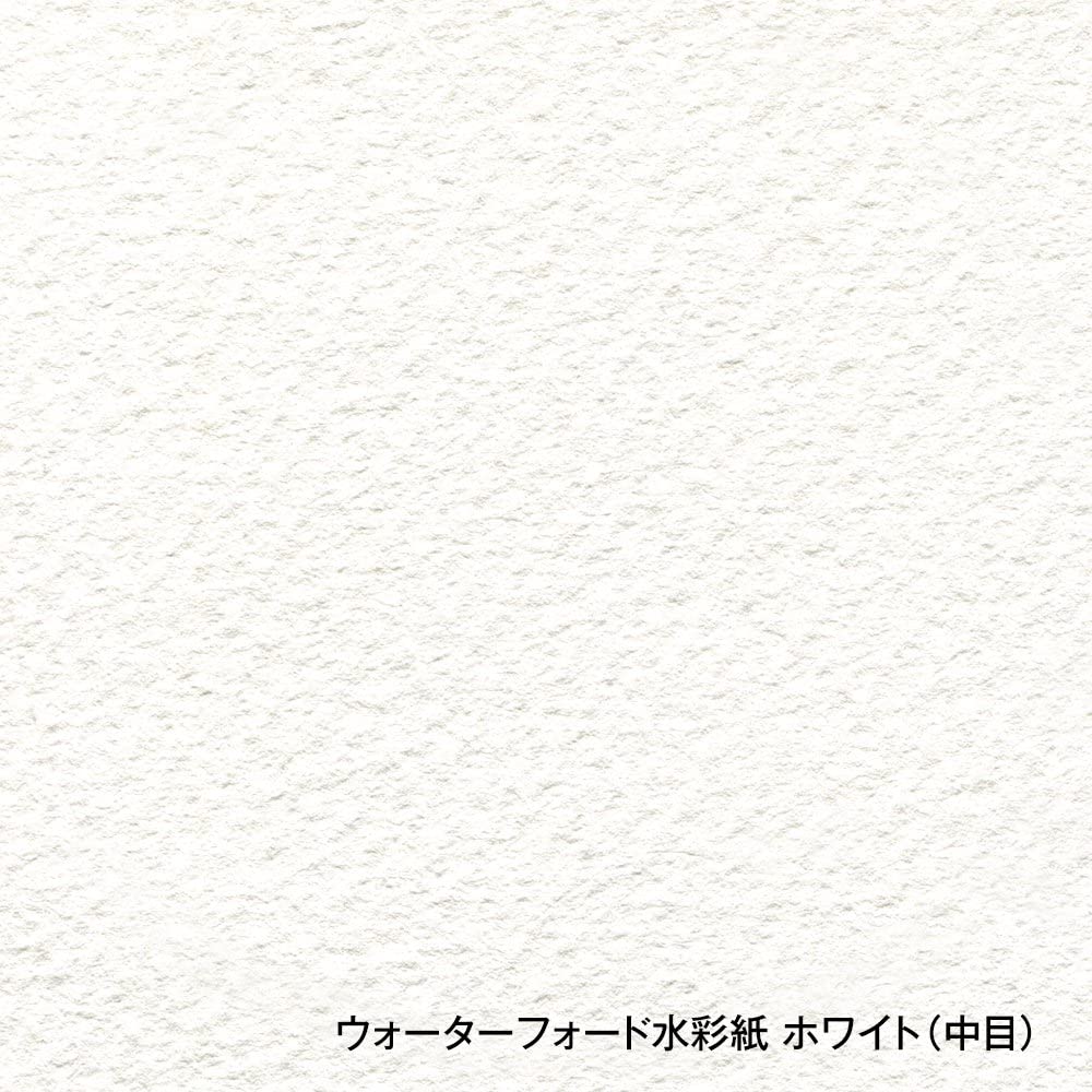 Holbein Waterford Watercolor Paper, White, Medium Grain, 190 gsm, 280 x 190 mm, 4 Sheets, 262055
