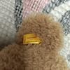 [USED] Steiff Teddy Bear Finn 40cm (Used)