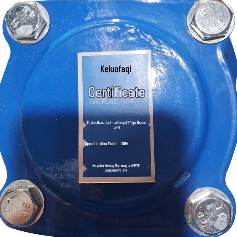 Kelorafaqi Ductile Iron Flange Y-Type Filter Valve
