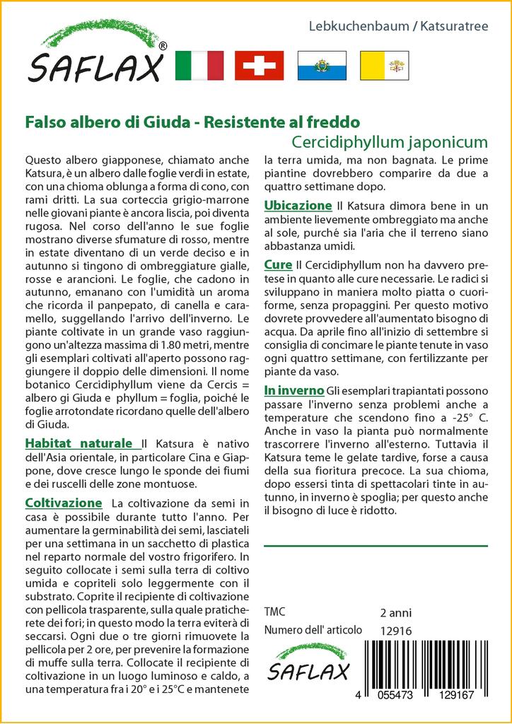 SAFLAX Кацуратри - 200 семян - Cercidiphyllum japonicum