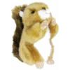 Cute Sales Japanese Squirrel S N0151 H17 X W10 X D10cm