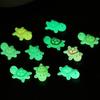 Mixed Mini Glowing Turtle Resin Miniature 3D Cartoon Dopamine Colored Resin Art Decorations DIY Phone Case Desktop Crafts