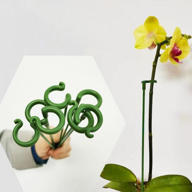 5pcs 37cm 48cm Plastic Plant Supports Holder Bracket Flower Stand Climbing Fixed Protection Tool Garden Supplies For Orchid