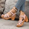 Fashion Summer High Heels Sandals Women 2025 Summer Ankle Buckle Platform Sandals Woman Pu Leather Square Heel Gladiator Sandalias Mujer