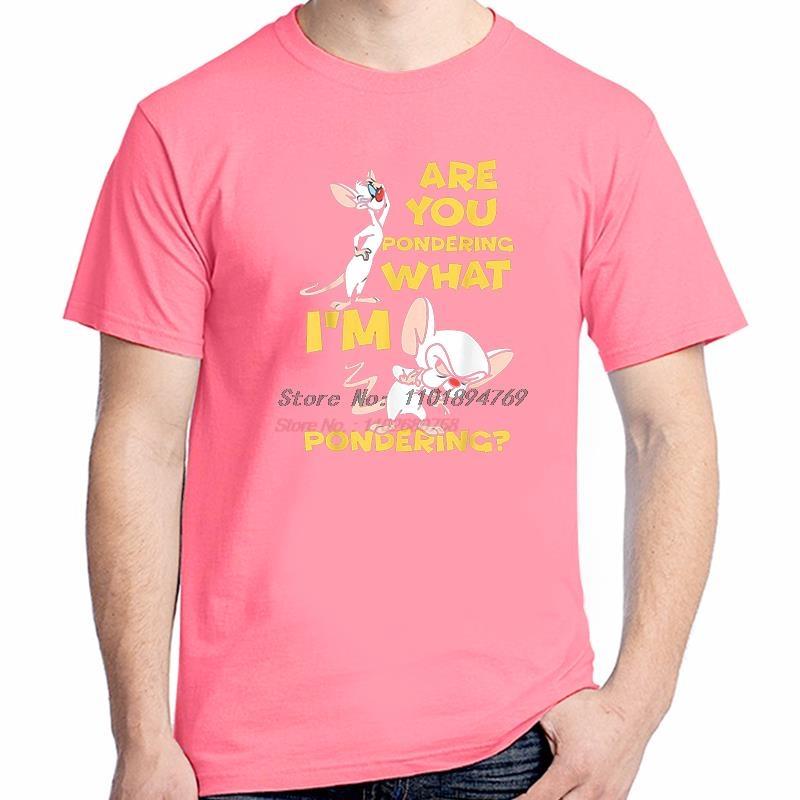 Summer Funny Graphic T Shirts Pinky And The Brain Cartoon Mouse Animation Cotton Tshirt Short Sleeve Tshirt Unisexs Clothes