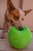 Jolly Pets Dog Jolly Soccer Ball Toy Игрушка для собак Игрушка для домашних животных дюймы (Веселые питомцы) (6 (15,2 см)) (Зеленое яблоко)