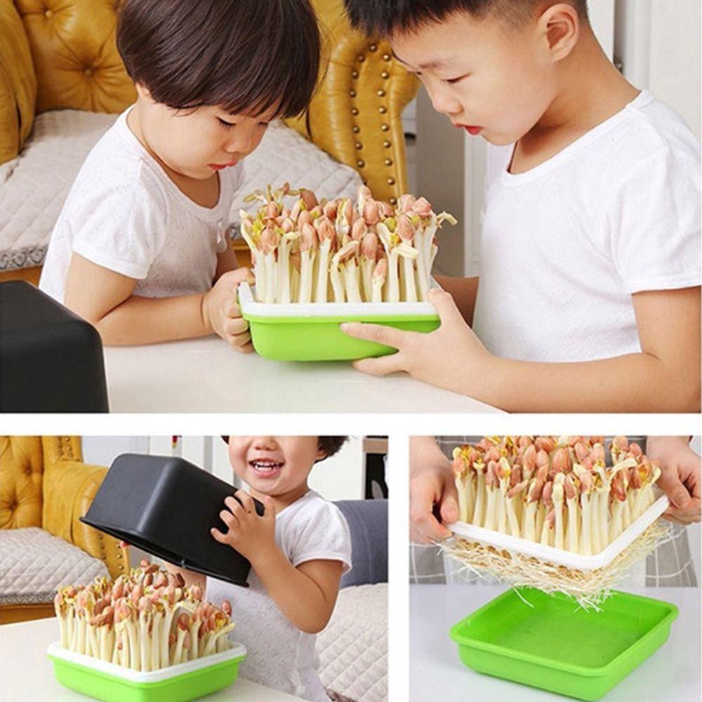 Многофункциональный поддон для гидропонного выращивания ростков фасоли, арахиса, саженцев, ящик для проращивания, садовые принадлежности, горшок для проращивания