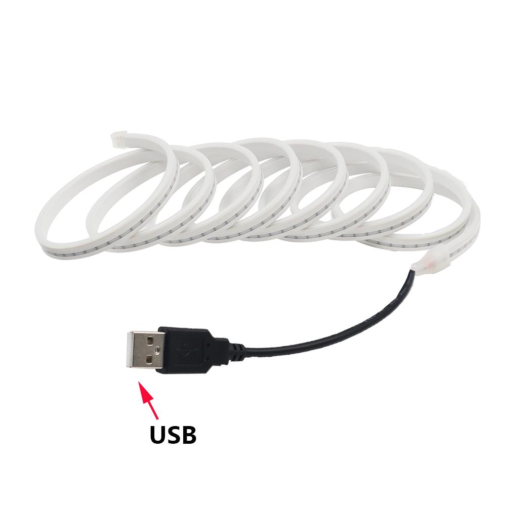 5V Dimmable LED Neon Strip Light Battery USB Powered Switch Touch Dimmer Kit 2835 120LED Flex Silicone Lamp Waterproof Backlight