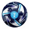 Tottenham Hotspur FC Turbine Print Football