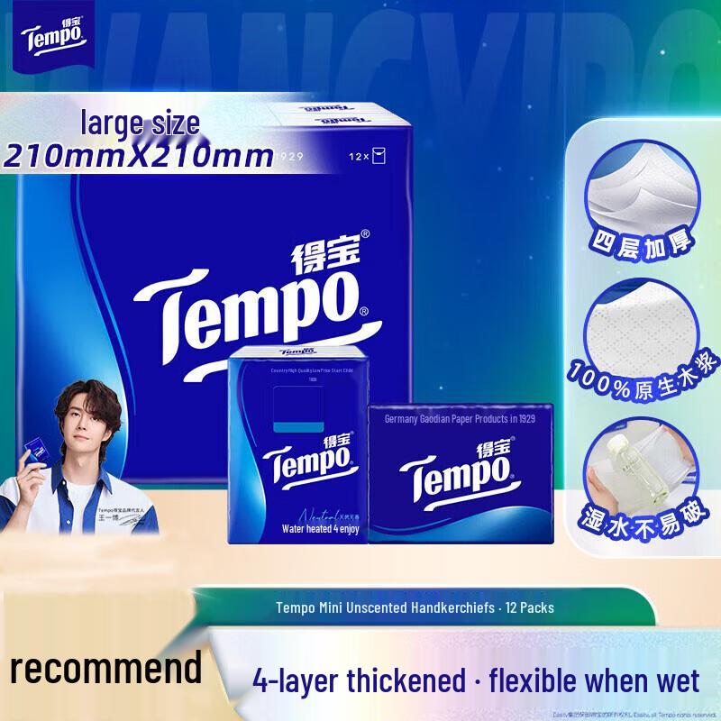 Tempo 4-Ply Small Pack Tissues & Shoe Polish Bundle
