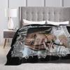 KATSEYE Megan Kpop Y2K Group Blankets Flannel Spring Autumn  Breathable Lightweight Throw Blanket for Bed Couch Plush Thin Quilt
