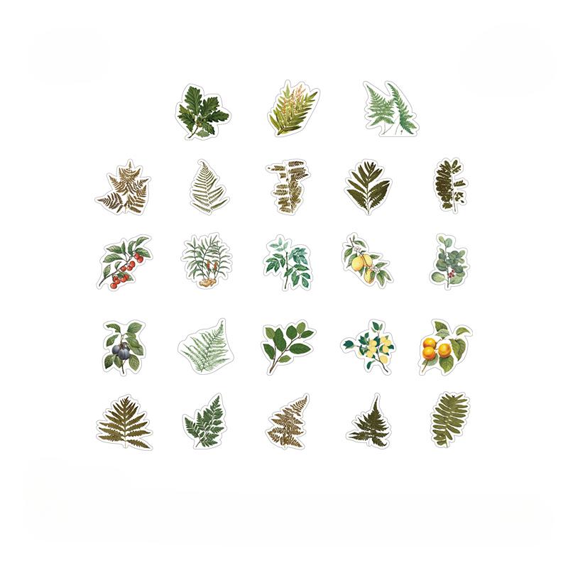 46 шт./коробка Коллекция грибов Декоративные наклейки Скрапбукинг своими руками Наклейка для дневника Канцелярские принадлежности Альбом Журнал Наклейка