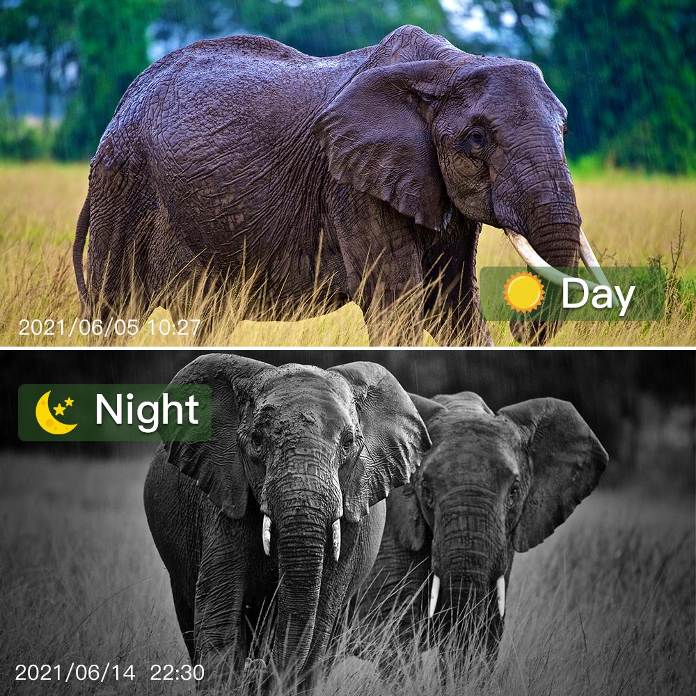 Уличная цифровая камера Mms Smtp, водонепроницаемая камера ночного видения, 12 МП, охотничья камера высокой четкости, 2 г, водонепроницаемая камера-ловушка, игровая камера