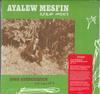 Виниловая пластинка AYALEW MESFIN Good Aderegechegn Blindsided By Lo NA5191 NOWAGAIN 2020 US SoulFunk