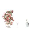 Blooming Tower Kaja Bougainvillea: Potted Indoor Flower Seedlings for Balconies