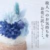 Preserved Flowers, Dome Bottle, Purple, Buddhist Flowers, Offerings, Sympathy Flowers, Equinox, Obon, Flower Arrangements, Never Withers (Bottle Blue)