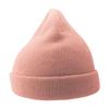 Atlantis Headwear Childrens/Kids Wind Recycled Beanie