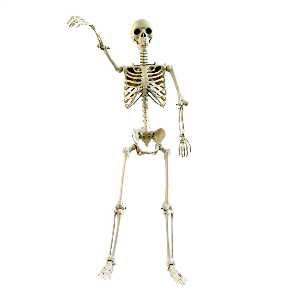 Skeleton Decoration Realistic Full-Body Skeleton for Outside Decorative Party Supplies Outdoor Decorations for Garden Backyard