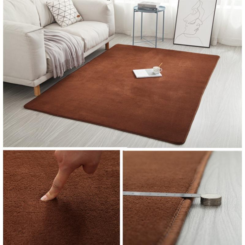 2025 Carpet Living Room Simple Modern Bedroom Plush Carpet Nordic Tatami Carpet