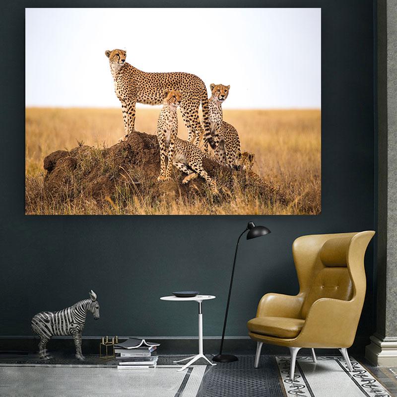 Леопардовые фотографии, постеры, принты, гепард, холст, картина, настенное искусство, черно-белое животное для гостиной, домашний декор, Cuadros