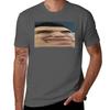 Joe T-Shirt T Shirt for Man 100 Percent Cotton Man T Shirts Cotton T-Shirt