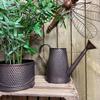 Country Living Watering Can - Brown