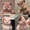 Cute Little Fragrant Pig Cub Doll Soft Companion Doll Plush Toy Doll