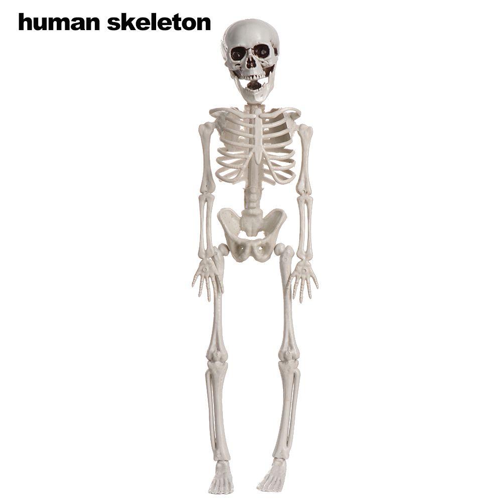 Анатомические Игрушки Реквизит для Фотосъемки Фигурка Тела Тыква Череп Хэллоуин Человеческий Скелет Кость Модель