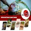 Culture Insulation Lamp Heating Light Bulb For Reptiles Poultry Lamp Heating Bulb Plants 100/15 Q1A4
