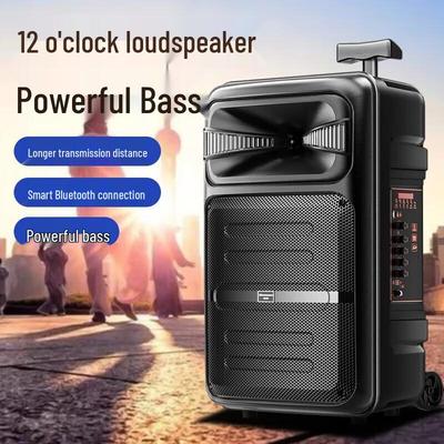 Портативная Bluetooth-колонка для караоке Newmine L23, штекер CN (адаптер в комплекте)