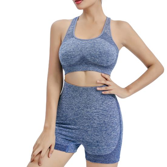 2 Pcs/Set Women Sports Suit Push-up Sleeveless Vest with Chest Pads Seamless Quick-drying High Waist Shorts Sportwear Yoga Fitness