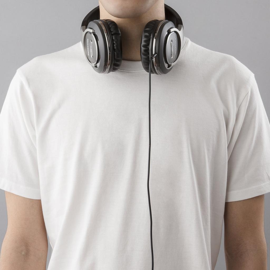 Panasonic Closed Headphones Silver RP-HT560