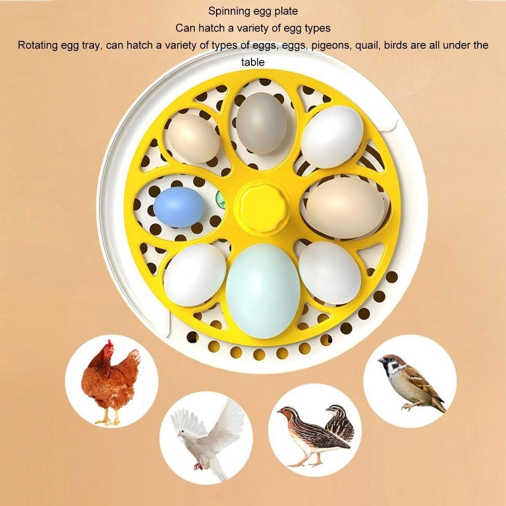 Temperature Humidity Control Mini Egg Incubator Chicken Duck Pigeon Quail Bird