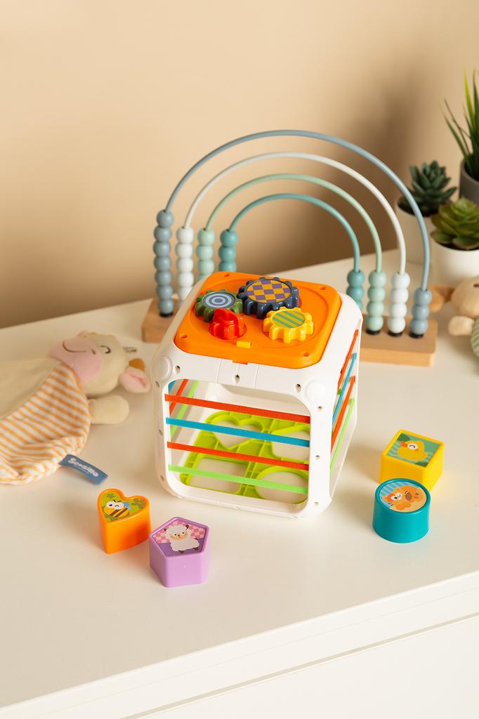 Educational Toy - Sorter Cube