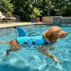 Waterproof Pet Life Jacket High Buoyancy Pet Buoyancy Suit Dog Surfing Clothes  Boating