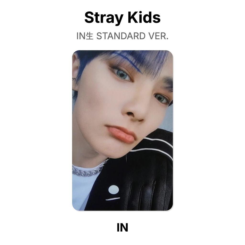 Stray Kids В СТАНДАРТНОЙ ВЕРСИИ. Официальная фотокарта