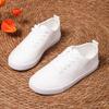 Summer New Flat Bottom Lace-up Mesh Canvas Flats Breathable Lightweight Casual Board Shoes Lace-up Large Size White Single Shoes