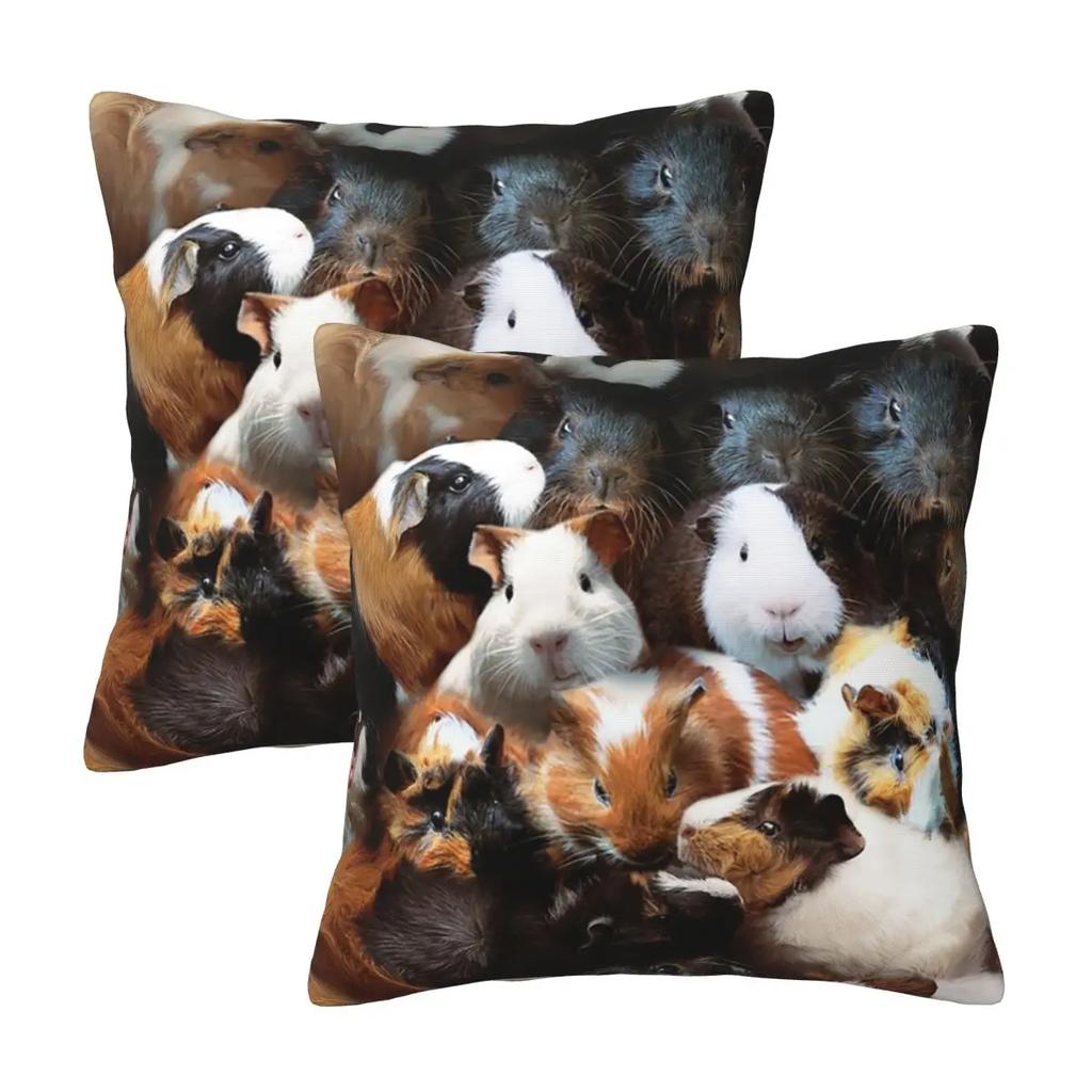 Guinea Pigs 2 Pcs Square Pillowcase Pillow Cover Cushion Zip Decorative Comfort Throw Pillow For Home Bedroom