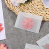 60 Pack 2.7x3.9 inches Vellum Envelopes Glassine Envelopes Translucent Envelope Self Sealing Mini Envelope for Seeds Stamps Co Gifts