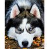 Diamond Painting Animal Husky Dog Diamond Embroidery Full Diamond Mosaic Rhinestone Decorations