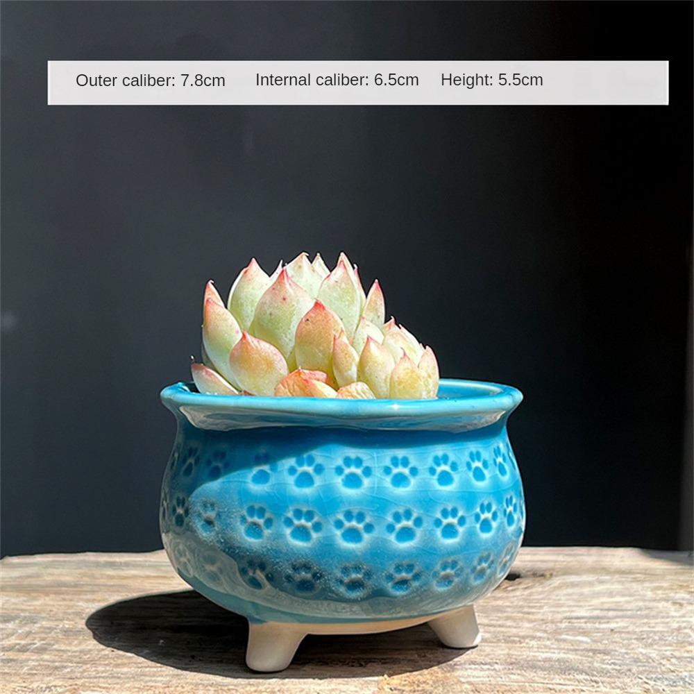 Breathable Pottery Basin Creative Meat Flower Pot Cat Claw Ceramics Draining Hole Flower Decorative Ceramic Flowerpot Flowerpot