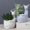 Cute Kangaroo Flower Pot Ceramics Succulent Pot Planter Home Decor Desktop Ornaments Garden Decoration Bonsai Plant Pot